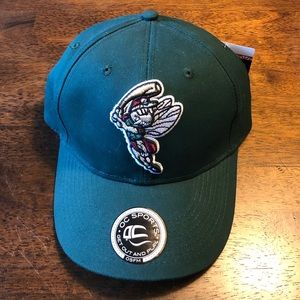 Minor League Baseball Hat